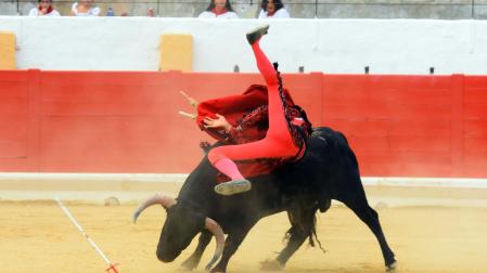 Novillada de fiestas de Peralta 2026 este sábado 5 de septiembre con toros de la ganadería de Juan Luis Fraile para los novilleros Mariscal Ruiz, Angelín y Julio Romero