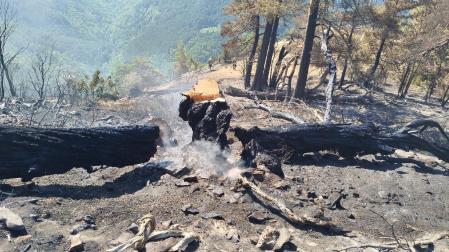 Incendio