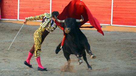 Aarón Navas y Pablo Hernández se enfrentaron a toros de José Luis Pascual en la novillada de fiestas de Fitero este domingo 13 de septiembre
