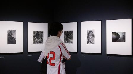 La exposición no muestra paisajes, sino una geografía mínima, "materia erosionada, muro, agua, piedra"