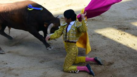 Novillada en Sangüesa con toros de José Luis Pascual para los diestros Aarón Navas y Jesús Mariano.