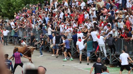 Multitudinario primer toro ensogado en las fiestas de Lodosa 2026 este viernes 18 de septiembre