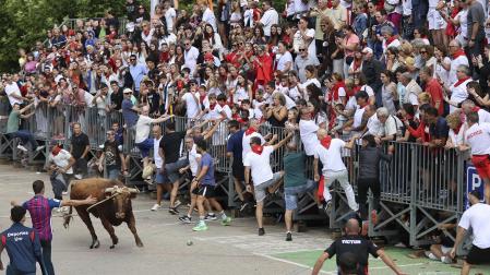 Multitudinario primer toro ensogado en las fiestas de Lodosa 2026 este viernes 18 de septiembre