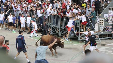 Multitudinario primer toro ensogado en las fiestas de Lodosa 2026 este viernes 18 de septiembre
