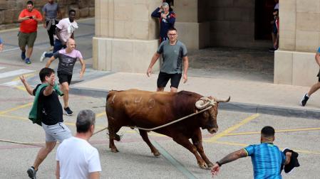 Imagen del toro con soga de Lodosa del pasado viernes 18 de septiembre