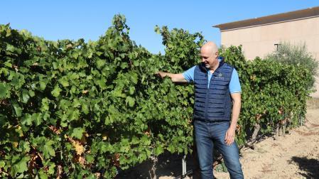 Tomás Antoñana, CEO y cofundador de Inurrieta, en los viñedos propios de la Bodega