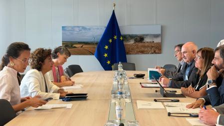 Momento de la reunión mantenida en Bruselas