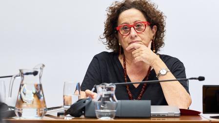 La consejera Carmen Maeztu durante la comparecencia en comisión parlamentaria