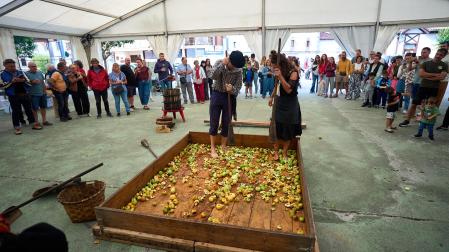 Fotos del Día de la Sidra Navarra 2026 en Lekunberri