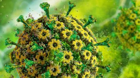 El virus del herpes (imagen) puede permanecer latente en nuestro organismo y mantener en estado de altera al sistema inmune, con el consiguiente desgaste