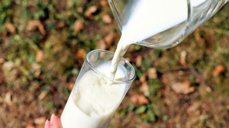 Leche
