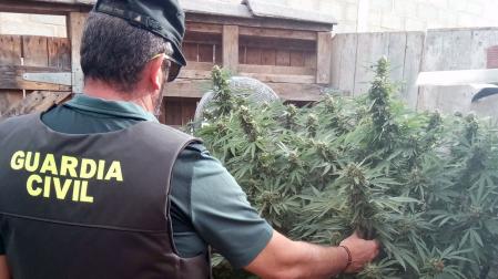 guardia civil