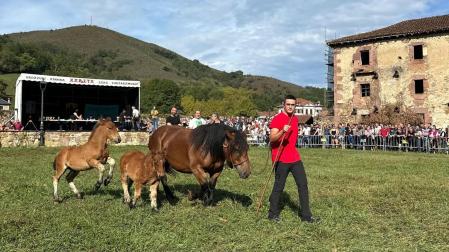 El ganadero de Elcoaz (Urraúl Alto) Santi Iriguibel Larrea, en la 14ª edición del Concurso Caballar de raza Burguete celebrada recientemente en Urdax, con los dos potros y la yegua madre