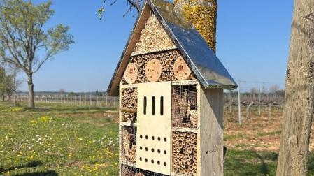 Refugio de insectos