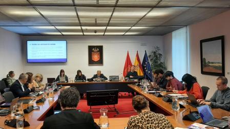 Un momento de la comparecencia de Médicos del Mundo en la Comisión de Igualdad y Presidencia del Parlamento de Navarra