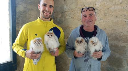 Aimar Sáez, técnico de la Fundación Ilundáin, y Félix Armendáriz, vecino de Tajonar, sostienen crías de lechuza que nacieron en el campanario de la iglesia de Tajonar.