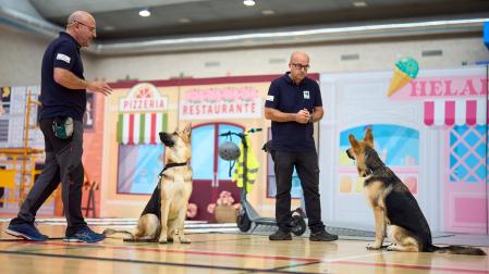 Fundación ONCE organizó en el pabellón de la UPNA una exhibición de perros guía