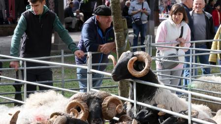 Fotos de la Feria de otoño de Elizondo