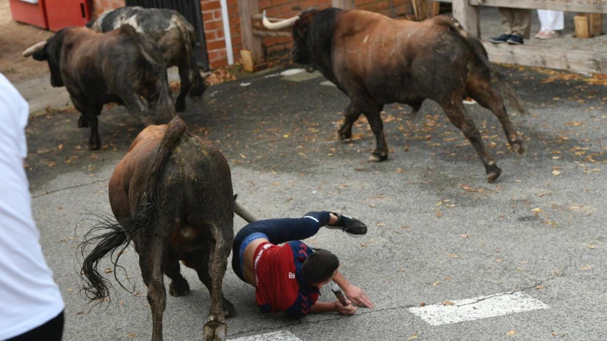 Aparatosa cogida en el primer encierro de Sangüesa