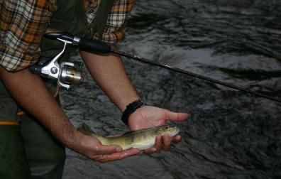 Asociaciones de pescadores critican la nueva normativade pesca de trucha salvaje