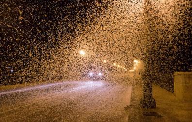 La 'nieve' llega a Tudela en agosto