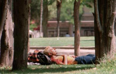 ¿Cuánto tiempo duermen de siesta los navarros?