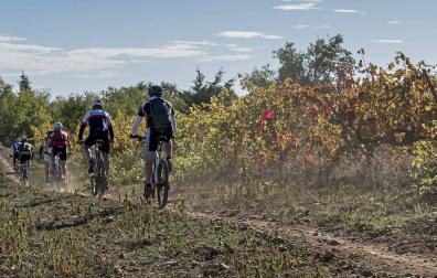 Los participantes en la segunda edición de la Tierra Estella Epic transitan por un camino entre viñedos.