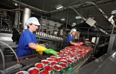 El veto comercial ruso inquieta en el sector agroalimentario navarro