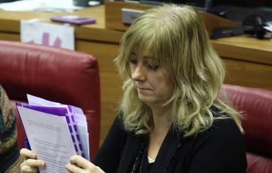 Ollo dice que el informe de Etxarri es del Ayuntamiento y no le corresponde valorarlo