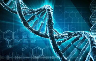 ​Usan ADN para fabricar el termómetro más pequeño del mundo