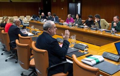 PNV quiere  que el Estatuto vasco se abra a vínculos políticos con Navarra