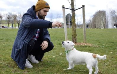 Lola, una perra de Pamplona con 17.000 seguidores en Instagram