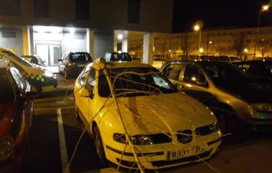 Corta un árbol y lo lanza contra vehículos estacionados en Pamplona