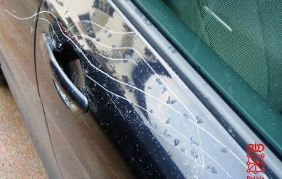 Detenido en Ituren por causar presuntamente daños en 19 vehículos durante carnavales