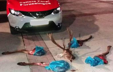 Incautado un ciervo descuartizado por dos jóvenes en Huarte