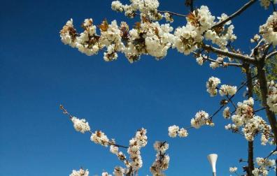 La primavera, retratada por los lectores de Diariodenavarra.es.