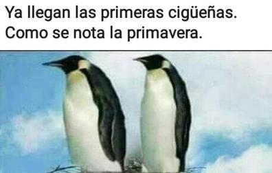 Estampas graciosas haciendo alusión al temporal de lluvia que afectó a la Comunidad foral del 10 al 14 de abril.