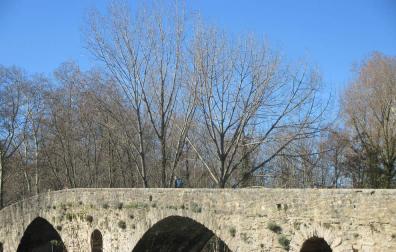 Martes soleado en Navarra, con brumas y nieblas matinales
