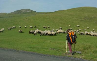 Rescatada una peregrina alemana de 60 años entre Ibañeta y Roncesvalles