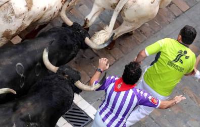Imágenes del cuarto encierro de los Sanfermines 2018, con toros de la ganadería Fuente Ymbro.