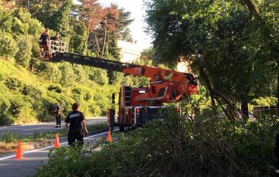 Un árbol caído ha obligado este martes por la tarde a cerrar al tráfico la cuesta de Beloso, en sentido Pamplona, según ha informado la Policía Municipal. Al lugar han acudido tanto agentes de la Policía Municipal como efectivos de Bomberos. Han realizado labores de saneo para tratar de desocupar la vía lo antes posible. Las ramas caídas ocupaban los dos carriles en dirección a Pamplona.