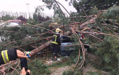 Varios heridos, alguno grave, tras caer un árbol en la Universidad de Navarra