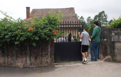 Muere otro anciano tras la picadura de avispas asiáticas en O Porriño (Pontevedra)