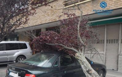 Las fuertes rachas de viento este miércoles por la tarde, que llegaron hasta los 70-80 kilómetros por hora, provocaron la caída de ocho árboles en distintas zonas de la ciudad, causando únicamente daños materiales en vehículos estacionados en la calle y en mobiliario urbano.