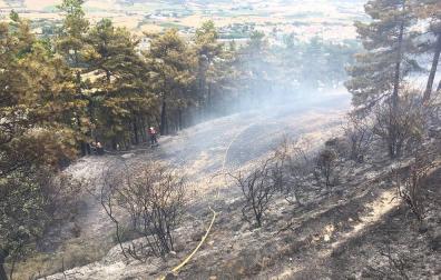 Declarado un incendio en las proximidades de Obanos