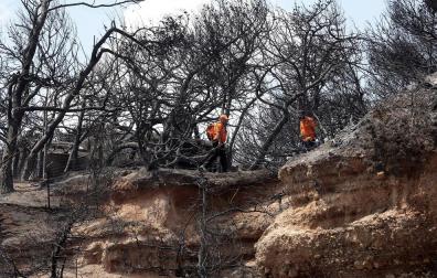 Grecia se vuelca en la búsqueda de desaparecidos tras los trágicos incendios