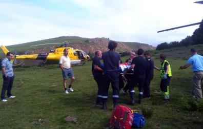Un leñador, trasladado en helicóptero al CHN tras caerle un árbol en la Ultzama