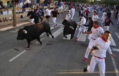 Rapidez en el cuarto encierro de las fiestas de Tafalla, con un herido por contusión
