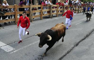 Imágenes del encierro de Peralta y de la visita de la Comparsa de gigantes y cabezudos a la residencia San Miguel