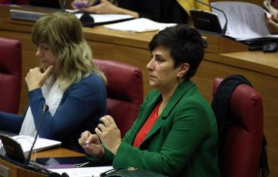 El Gobierno foral, disconforme con la propuesta PP de las prestaciones de maternidad